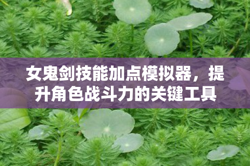女鬼剑技能加点模拟器，提升角色战斗力的关键工具