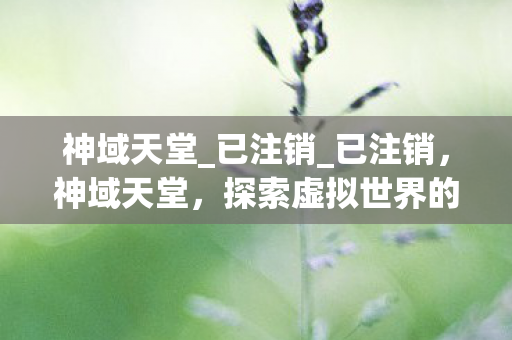 神域天堂_已注销_已注销,神域天堂,探索虚拟世界的无限可能 神域天堂_已注销_已注销,神域天堂,探索虚拟世界的无限可能