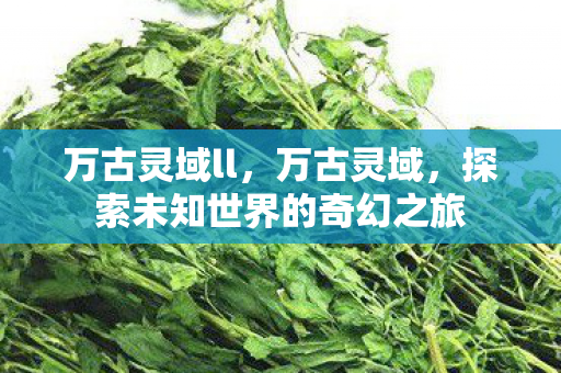 万古灵域ll，万古灵域，探索未知世界的奇幻之旅