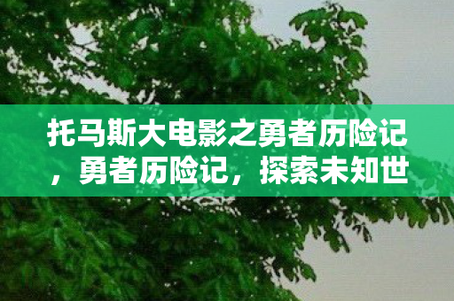 托马斯大电影之勇者历险记，勇者历险记，探索未知世界的奇幻之旅