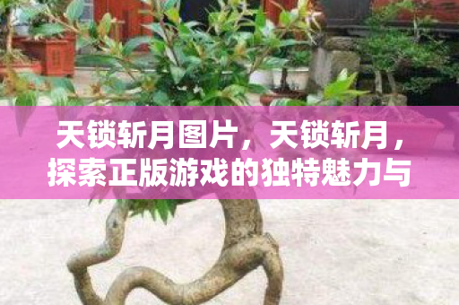 天锁斩月图片，天锁斩月，探索正版游戏的独特魅力与社区生态