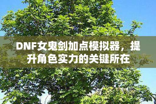 DNF女鬼剑加点模拟器,提升角色实力的关键所在 DNF女鬼剑加点模拟器,提升角色实力的关键所在