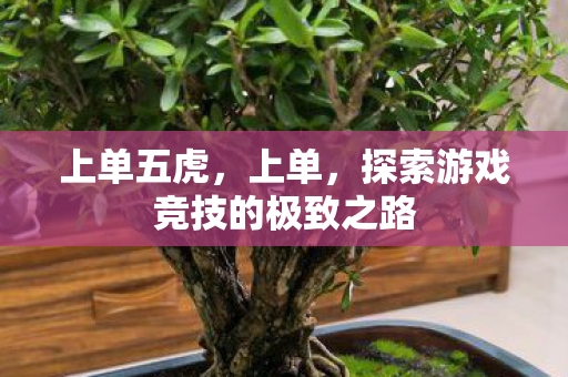 上单五虎,上单,探索游戏竞技的极致之路 上单五虎,上单,探索游戏竞技的极致之路