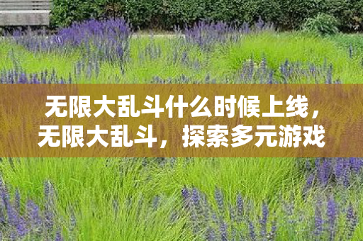 无限大乱斗什么时候上线，无限大乱斗，探索多元游戏世界的奇妙之旅