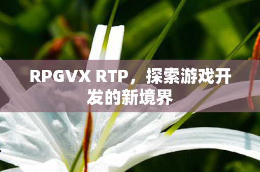 RPGVX RTP,探索游戏开发的新境界 RPGVX RTP,探索游戏开发的新境界