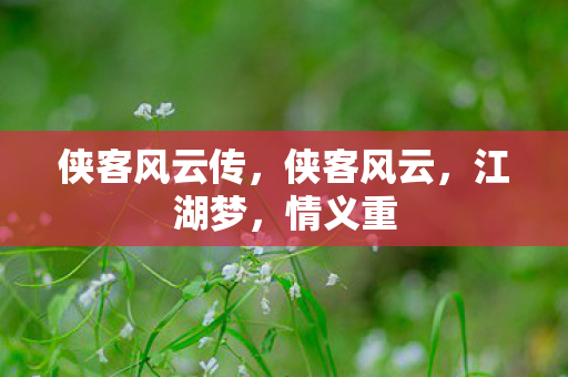 侠客风云传，侠客风云，江湖梦，情义重