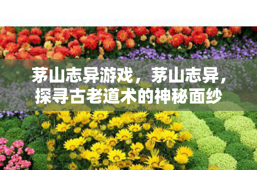 茅山志异游戏，茅山志异，探寻古老道术的神秘面纱