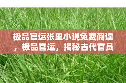 极品官运张里小说免费阅读,极品官运,揭秘古代官员升迁的奥秘 极品官运张里小说免费阅读,极品官运,揭秘古代官员升迁的奥秘