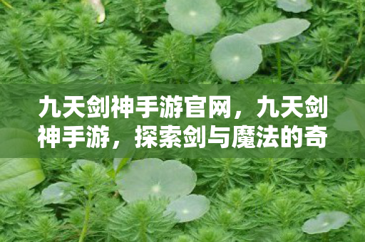 九天剑神手游官网,九天剑神手游,探索剑与魔法的奇幻世界 九天剑神手游官网,九天剑神手游,探索剑与魔法的奇幻世界