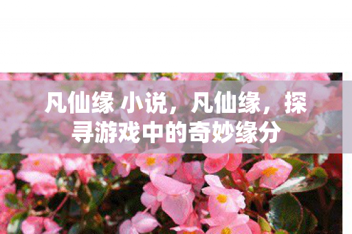 凡仙缘 小说，凡仙缘，探寻游戏中的奇妙缘分