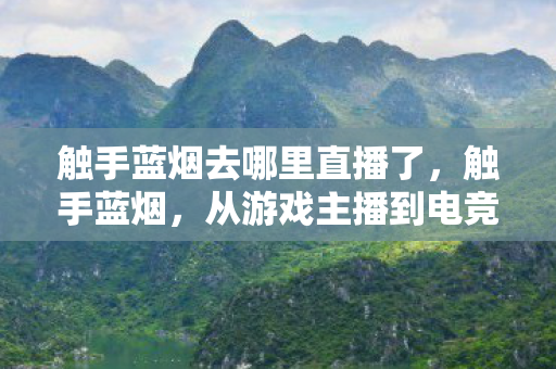 触手蓝烟去哪里直播了，触手蓝烟，从游戏主播到电竞圈的新星
