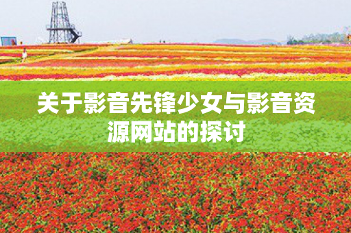 关于影音先锋少女与影音资源网站的探讨