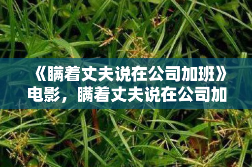 《瞒着丈夫说在公司加班》电影，瞒着丈夫说在公司加班