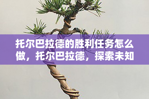 托尔巴拉德的胜利任务怎么做，托尔巴拉德，探索未知世界的奇幻之旅