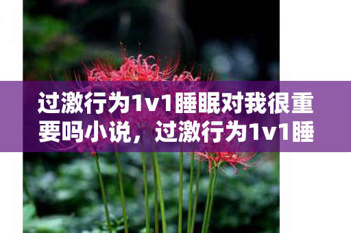 过激行为1v1睡眠对我很重要吗小说，过激行为1v1睡眠，对我究竟有多重要？
