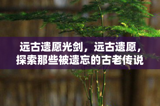 远古遗愿光剑，远古遗愿，探索那些被遗忘的古老传说
