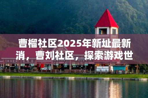 曹榴社区2025年新址最新消，曹刘社区，探索游戏世界的多元体验