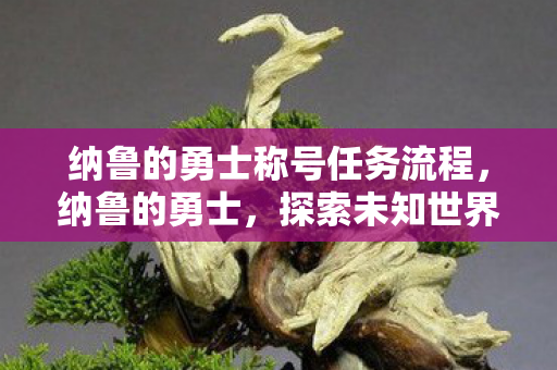 纳鲁的勇士称号任务流程，纳鲁的勇士，探索未知世界的勇者之旅