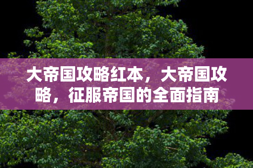 大帝国攻略红本，大帝国攻略，征服帝国的全面指南
