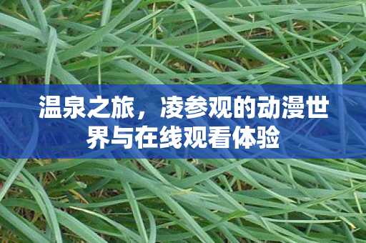 温泉之旅，凌参观的动漫世界与在线观看体验