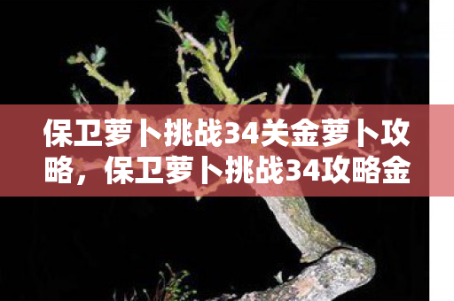 保卫萝卜挑战34关金萝卜攻略，保卫萝卜挑战34攻略金萝卜布阵图