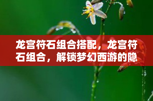龙宫符石组合搭配，龙宫符石组合，解锁梦幻西游的隐藏力量