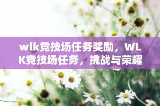 wlk竞技场任务奖励，WLK竞技场任务，挑战与荣耀的交织