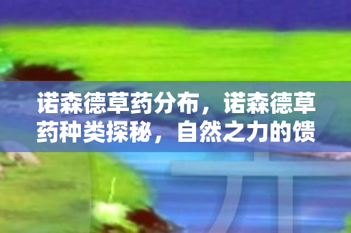 诺森德草药分布，诺森德草药种类探秘，自然之力的馈赠
