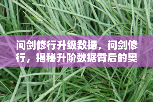问剑修行升级数据，问剑修行，揭秘升阶数据背后的奥秘