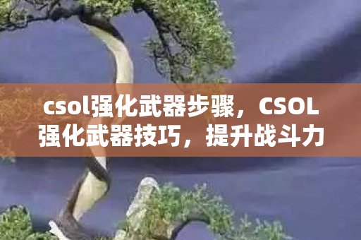 csol强化武器步骤，CSOL强化武器技巧，提升战斗力的关键步骤