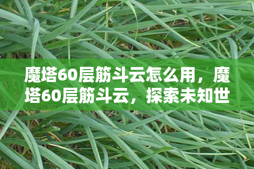 魔塔60层筋斗云怎么用，魔塔60层筋斗云，探索未知世界的奇幻之旅