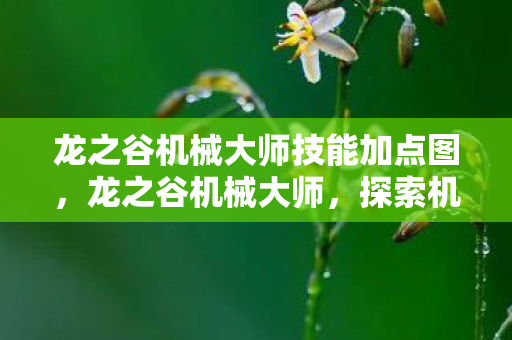 龙之谷机械大师技能加点图，龙之谷机械大师，探索机械之心的奥秘