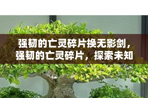 强韧的亡灵碎片换无影剑，强韧的亡灵碎片，探索未知世界的神秘力量