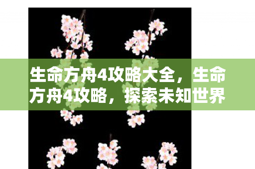 生命方舟4攻略大全，生命方舟4攻略，探索未知世界的全面指南