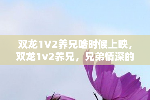 双龙1V2养兄啥时候上映，双龙1v2养兄，兄弟情深的奇幻之旅