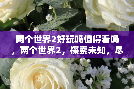 两个世界2好玩吗值得看吗，两个世界2，探索未知，尽享无限乐趣