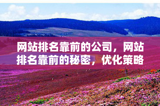 网站排名靠前的公司，网站排名靠前的秘密，优化策略与用户体验的完美结合