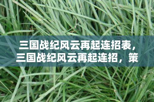 三国战纪风云再起连招表，三国战纪风云再起连招，策略与技巧的完美融合