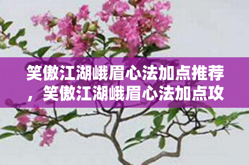 笑傲江湖峨眉心法加点推荐，笑傲江湖峨眉心法加点攻略，打造最强峨眉派高手