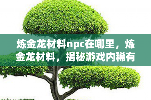 炼金龙材料npc在哪里，炼金龙材料，揭秘游戏内稀有资源的珍贵价值