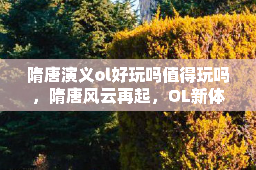 隋唐演义ol好玩吗值得玩吗，隋唐风云再起，OL新体验