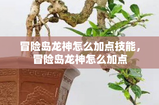 冒险岛龙神怎么加点技能，冒险岛龙神怎么加点