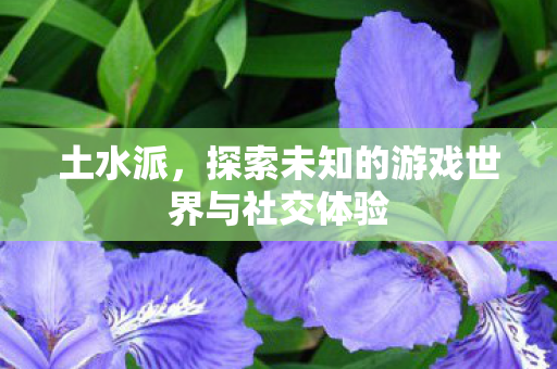 土水派，探索未知的游戏世界与社交体验