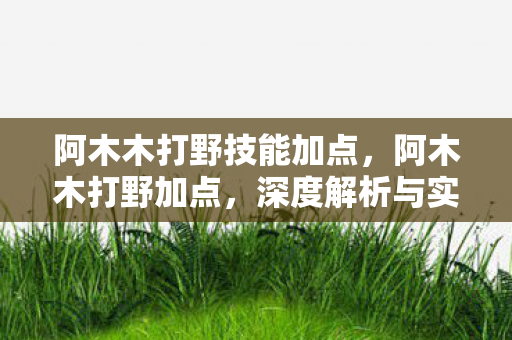 阿木木打野技能加点，阿木木打野加点，深度解析与实战应用