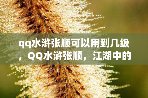 qq水浒张顺可以用到几级，QQ水浒张顺，江湖中的传奇英雄