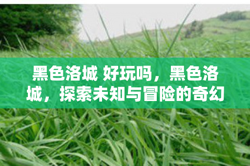 黑色洛城 好玩吗，黑色洛城，探索未知与冒险的奇幻之旅
