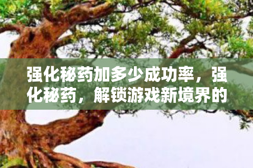 强化秘药加多少成功率，强化秘药，解锁游戏新境界的神奇药剂