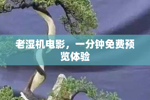 老湿机电影，一分钟免费预览体验