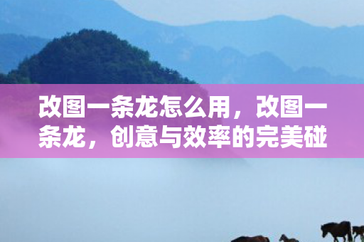 改图一条龙怎么用，改图一条龙，创意与效率的完美碰撞