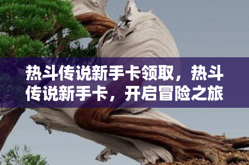 热斗传说新手卡领取，热斗传说新手卡，开启冒险之旅的钥匙